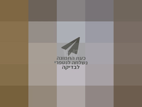 ארון קודש לפר תורה