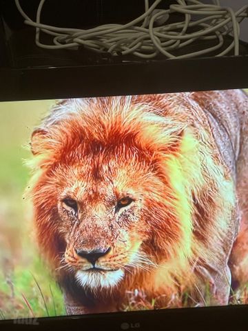 Lg tv 32