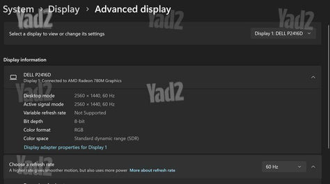 Dell 24 -QHD 2560 × 1440