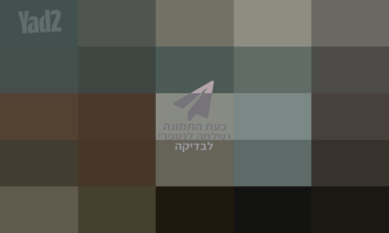 שטיח פרסי עתיק יפיפה