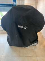 מנגל weber על גז