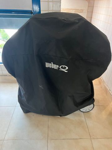 מנגל weber על גז