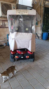 קלנועית