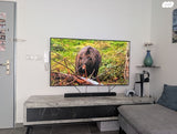 Samsung S95B OLED 65"