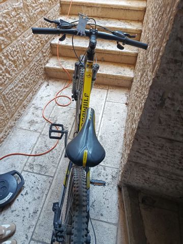 אופני הרים