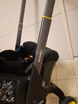 עדלת דונה