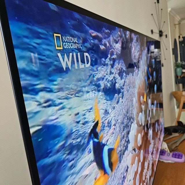 טלויזיה 77 OLED חדשה
