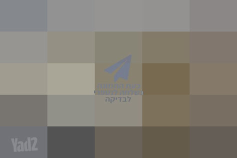 ספה דו מושבית