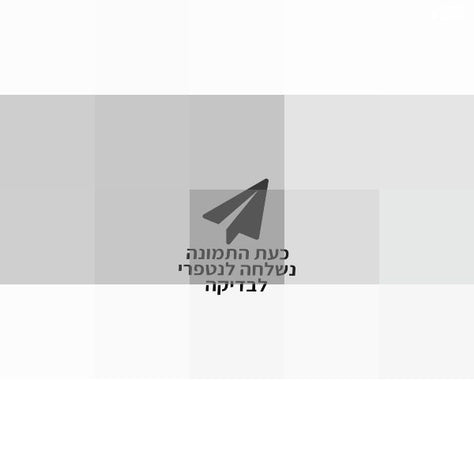 מסך 23.8" DELL IPS P2421DC QHD