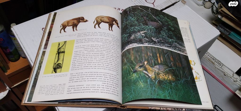 אנציקלופדיה 'חיות הבר'