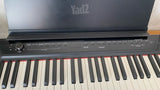פסנטר חשמלי Pearl River