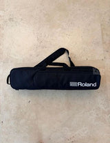 סקסופון roland ae 20