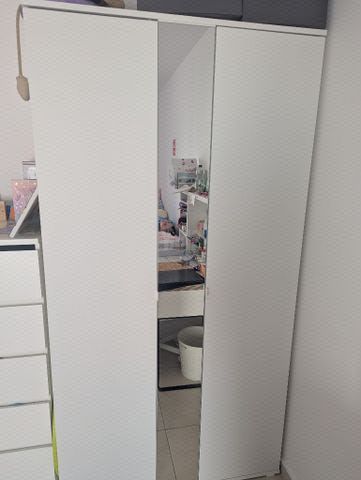 ארון בדגים