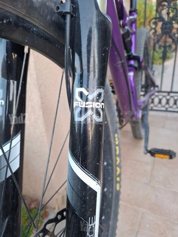 אופני ספשלייזד