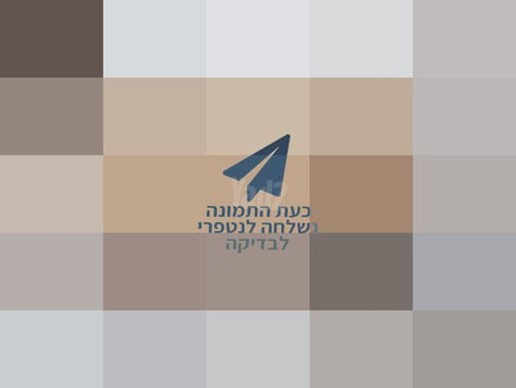 שולחן סלון