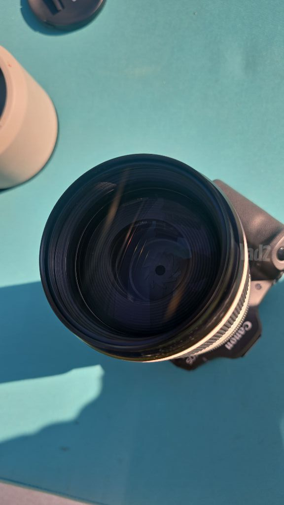 canon r5 mark 2