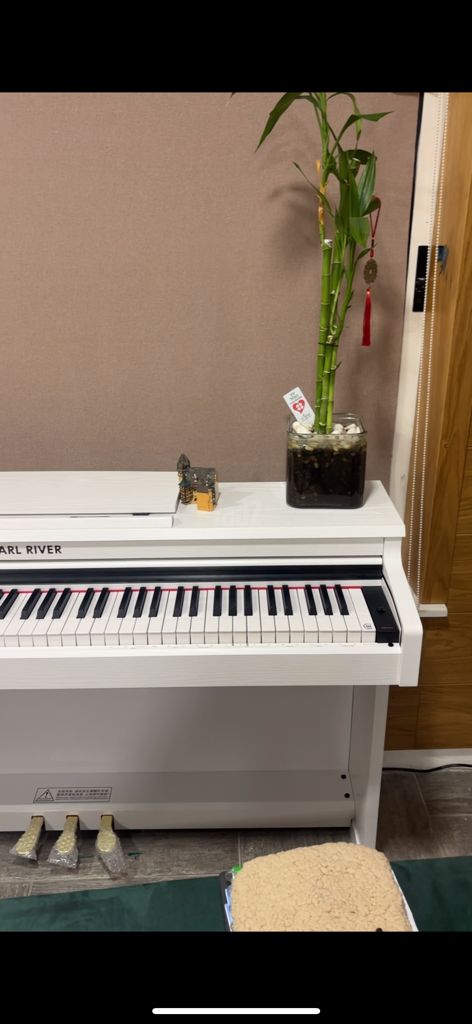 Pearl River V03 PRO