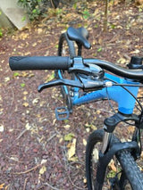 אופני הרים Polygon Cascada 3
