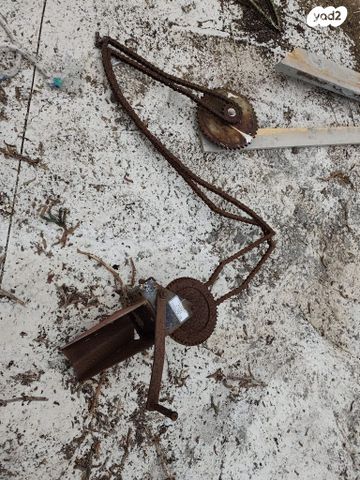 כננת מסיבית