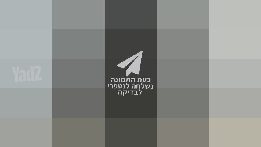 בוקסה מקצועית