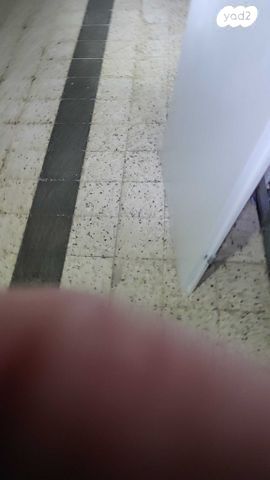 דלת פנים