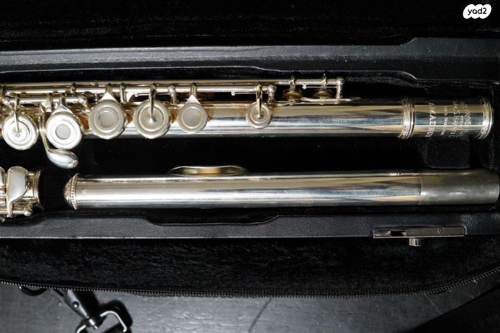 חליל צד Haynes Amadeus
