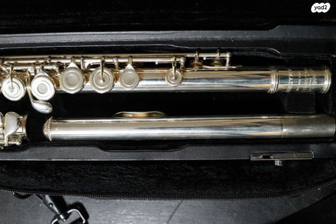 חליל צד Haynes Amadeus