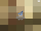 שעון מותגים
