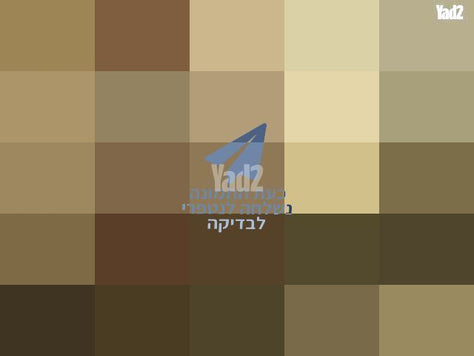שעון מותגים