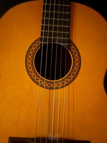 Yamaha c80
