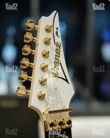 Steve Vai "PIA" signature