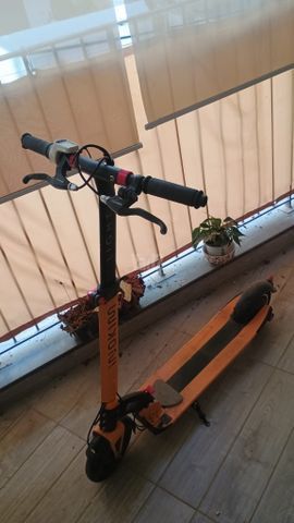 אינוקים