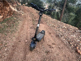 טברון פייטר 11 2026