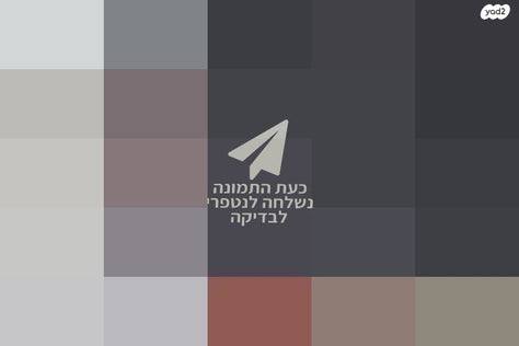 מיטת נסיכות