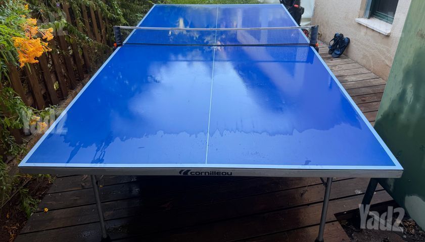 טניס שולחן