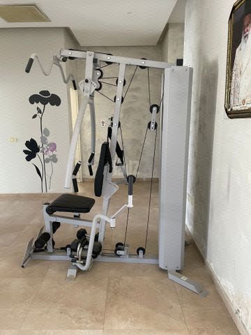 מולטיטריינר