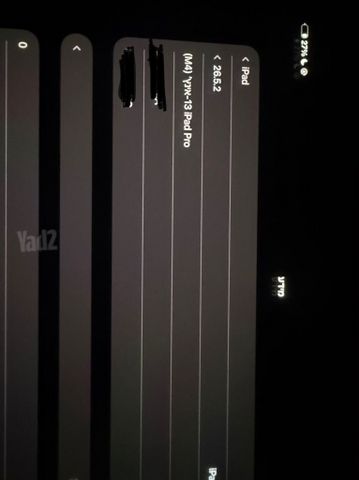 iPad Pro 13 M4 256GB |