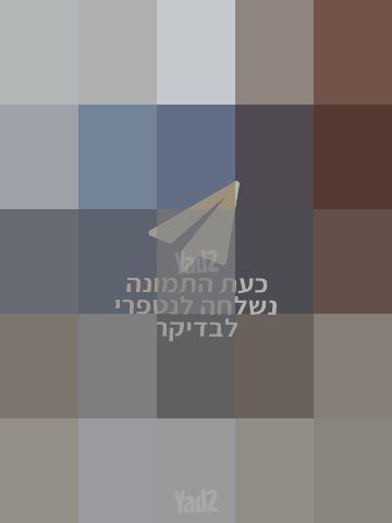 עגלת Bogaboo bee 5