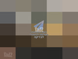 שולחן סלון