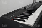 פסנתר חשמלי Pearl River P200