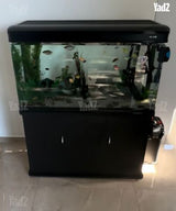 אקווריום דגים