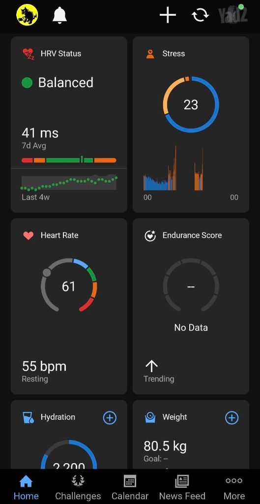 Garmin Cirqa + רצועה נוספת