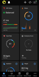Garmin Cirqa + רצועה נוספת