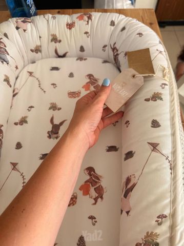 נסט