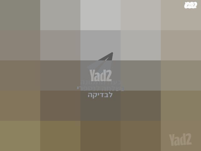 נינגה גריל