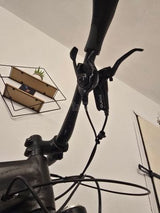Specialized