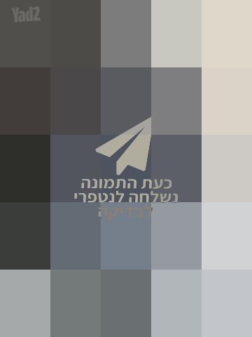 עגלת תאומים