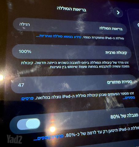 אייפד מיני