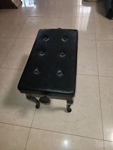 כיסא לפסנטר