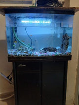 אקווריום